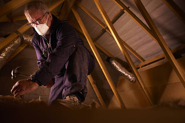Best Geographic-Specific Insulation Services in Independence, IA